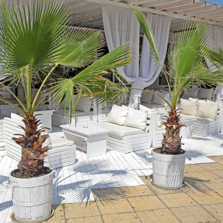Last minute all inclusive resort in Sunny Beach, Bulgarije