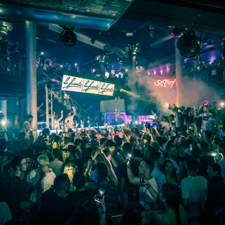 Een grote groep mensen feestend in een club